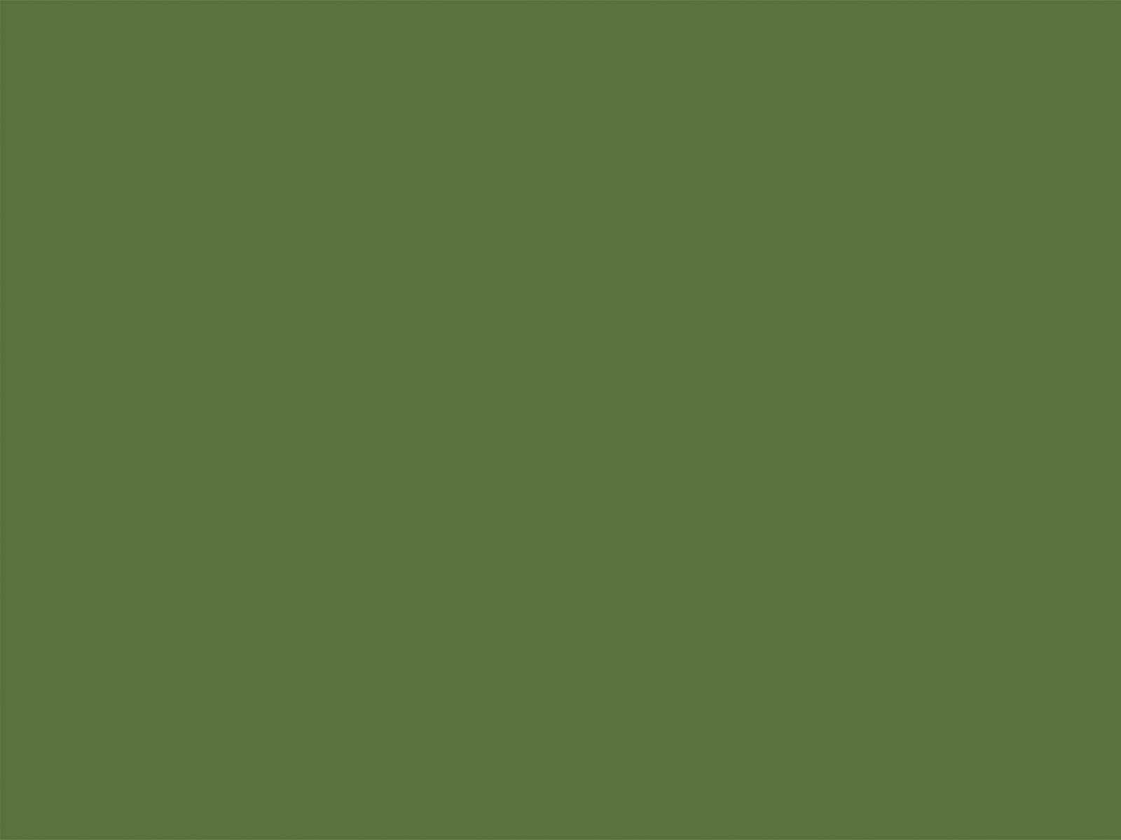 Little Greene Verf Hopper - 297