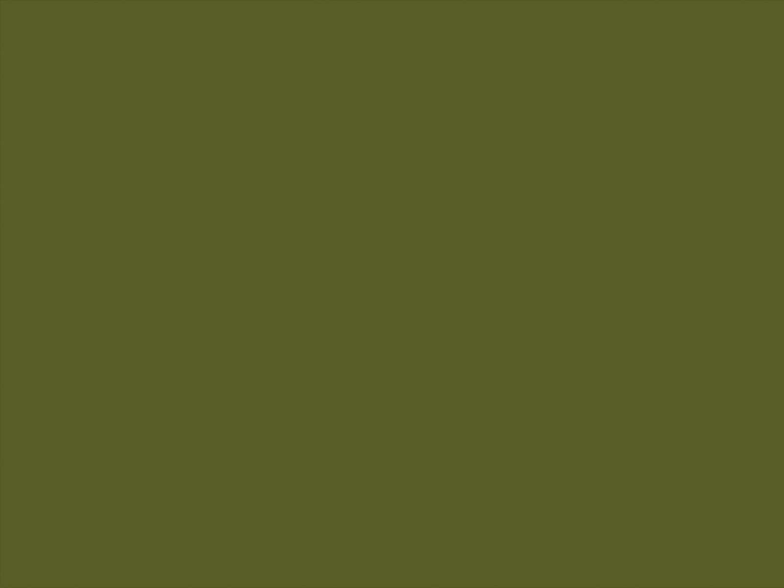 Little Greene Verf Jewel Beetle - 303