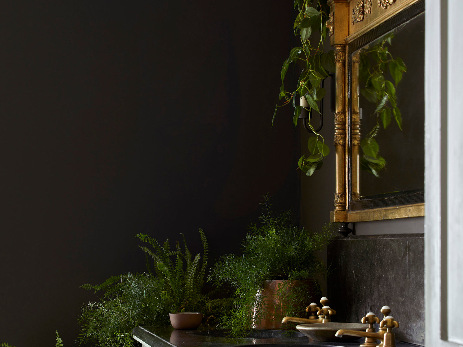 Little Greene Verf Elysian Ground - 320