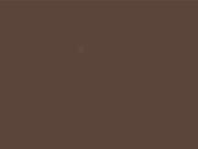 Little Greene Verf Ganache - 345