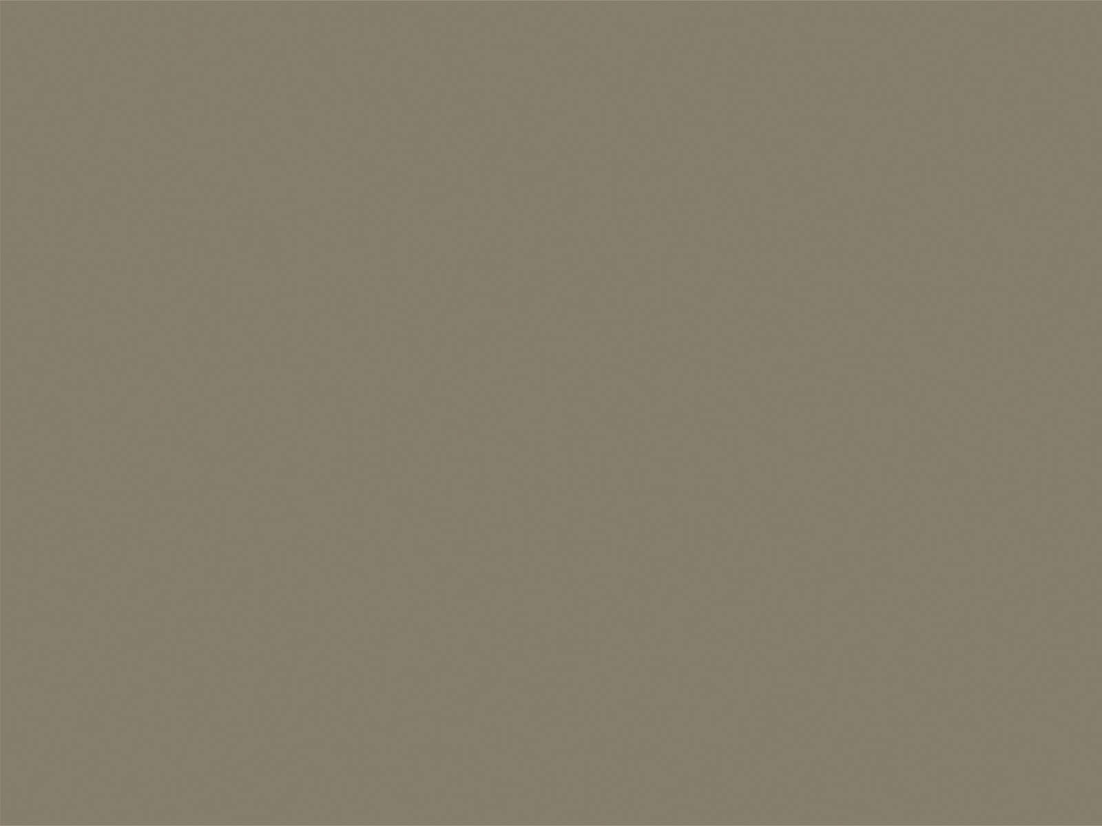 Little Greene Verf Silt - 40