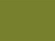 Little Greene Verf Citrine - 71