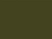 Little Greene Verf Olive Colour - 72