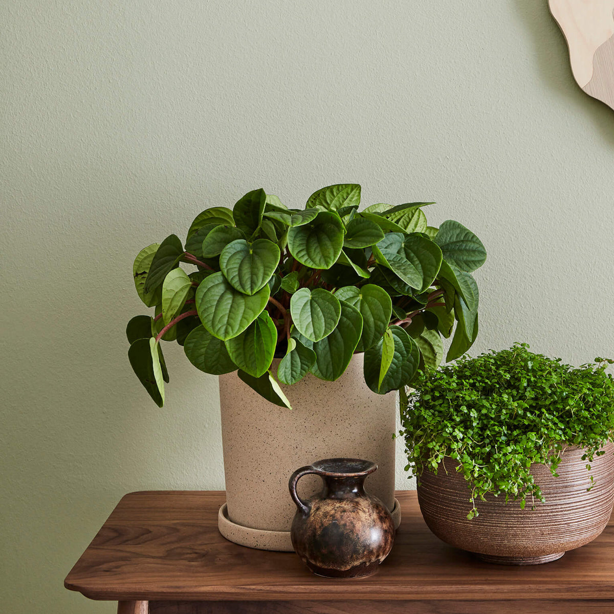 Little Greene Verf Tracery II - 78