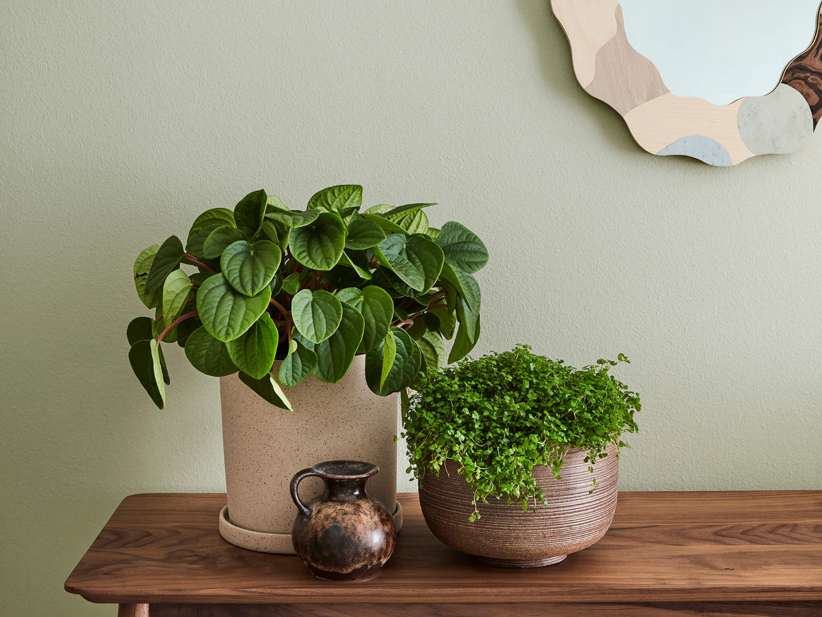 Little Greene Verf Tracery II - 78