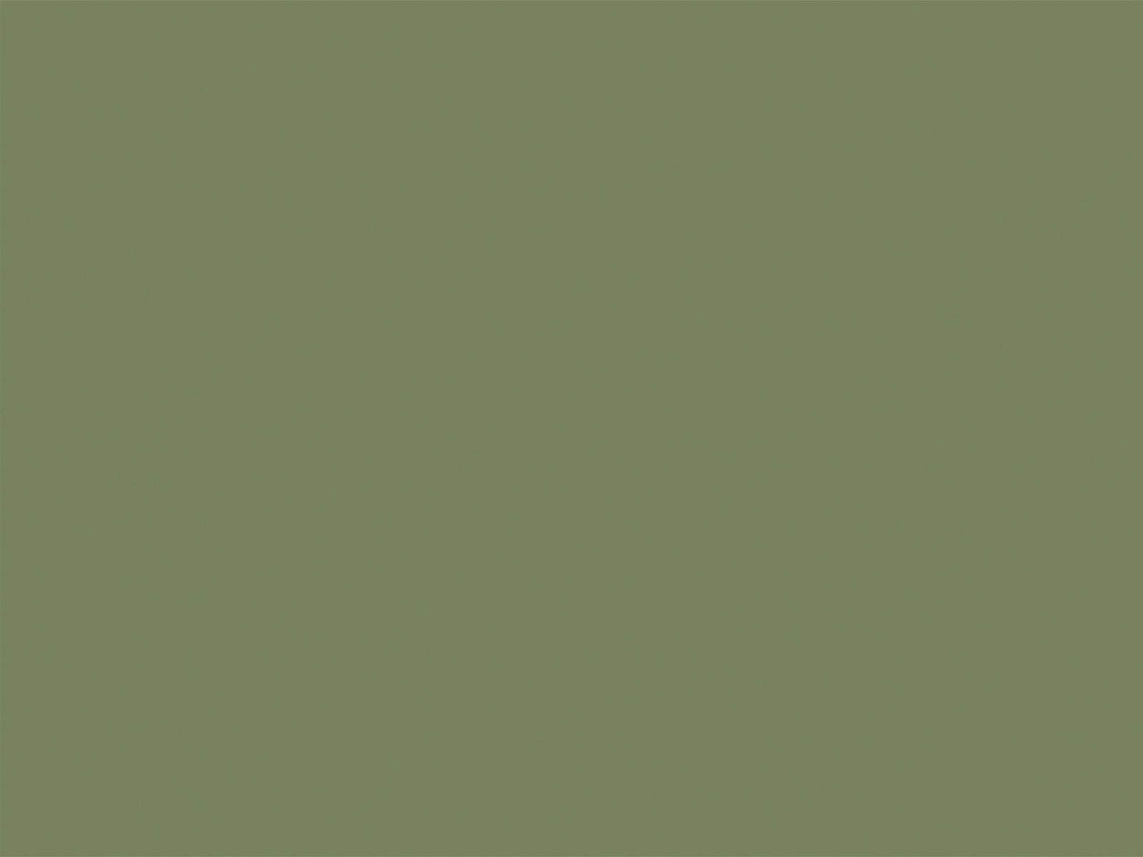 Little Greene Verf Sage Green - 80