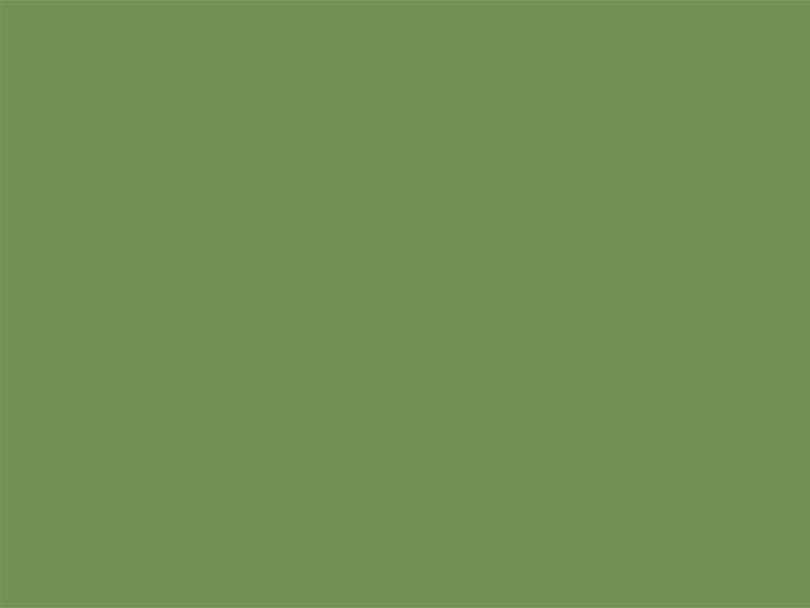 Little Greene Verf Garden - 86
