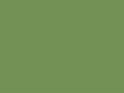 Little Greene Verf Garden - 86