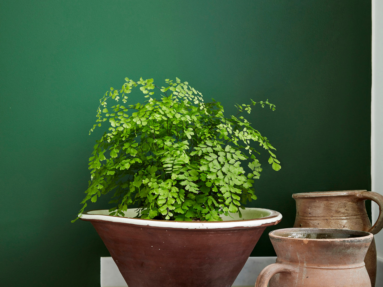 Little Greene Verf Dark Brunswick Green - 88