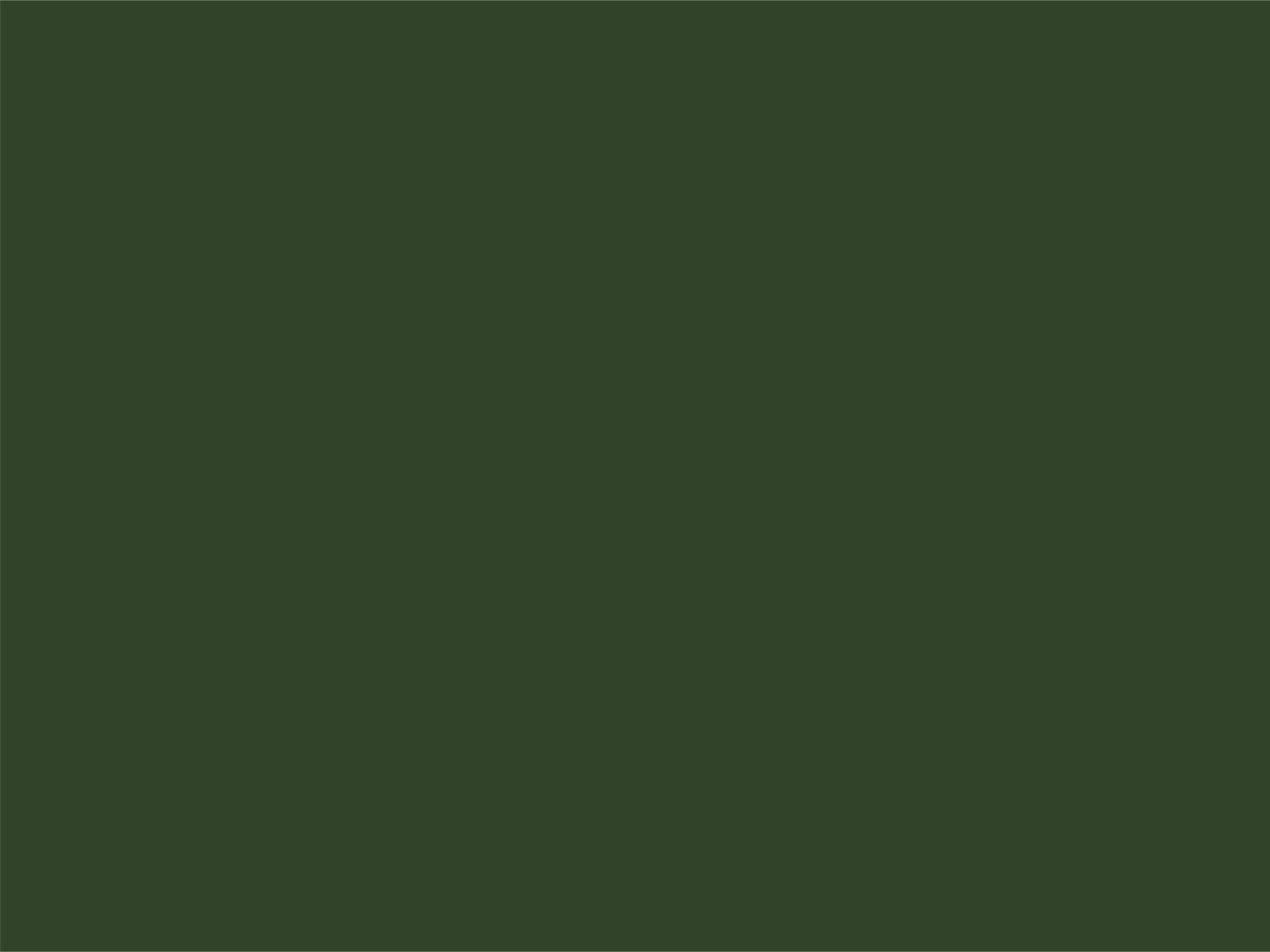 Little Greene Verf Dark Brunswick Green - 88