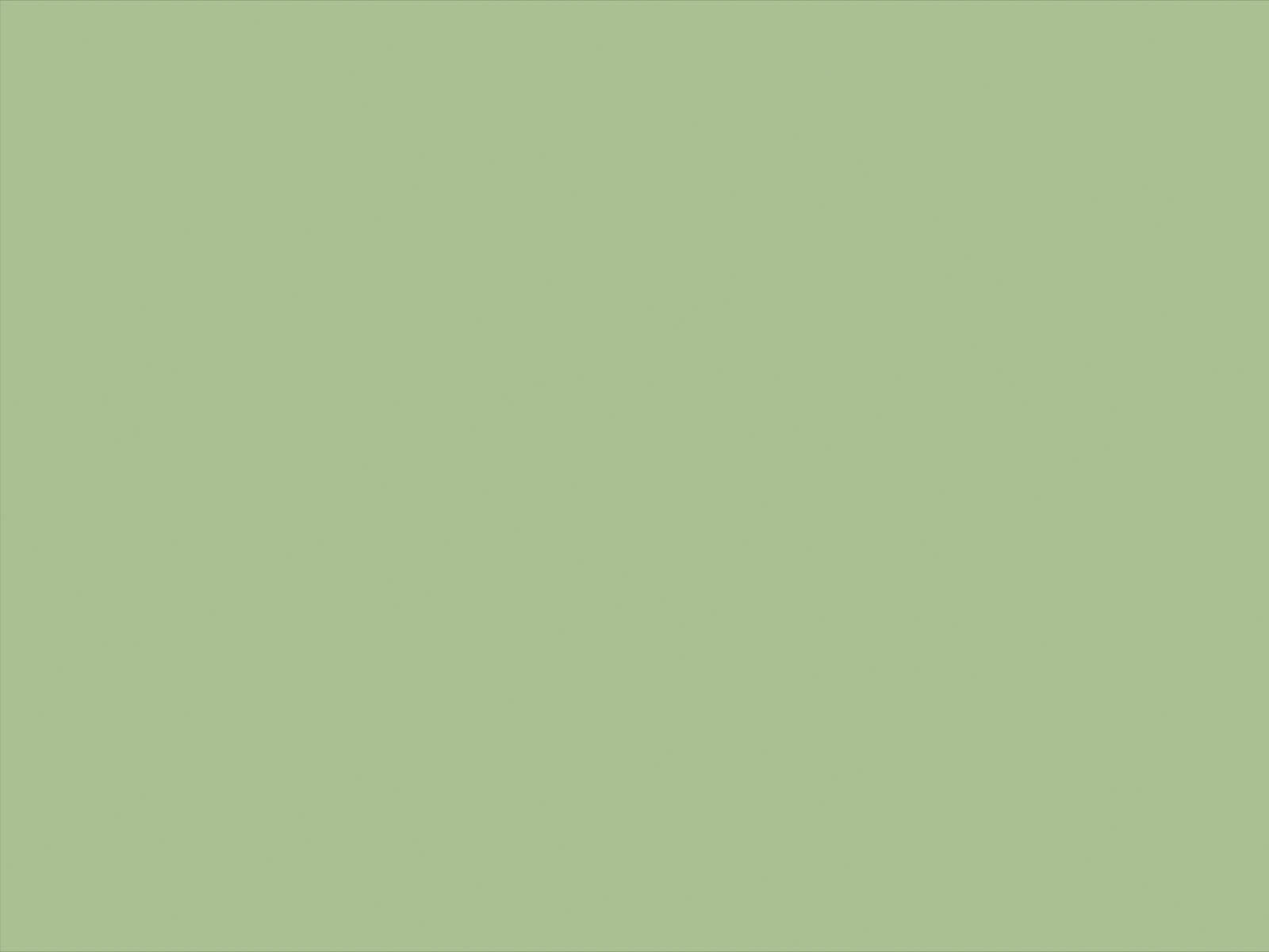 Little Greene Verf Pea Green - 91