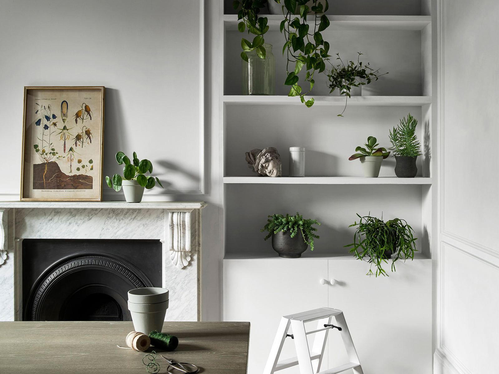 Paint & Paper Library Verf Clean White - 101