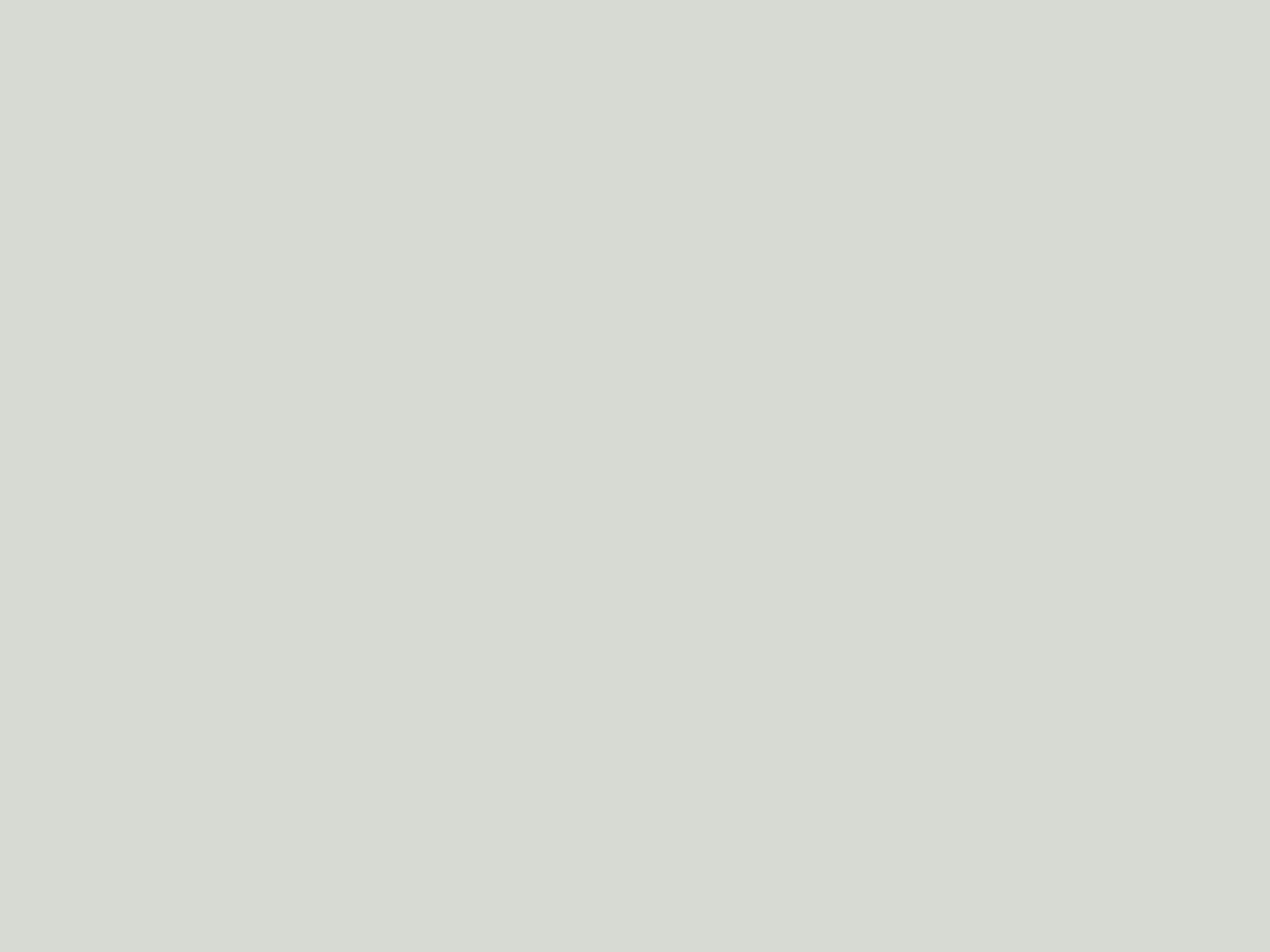 Paint & Paper Library Verf Cotton III - 133