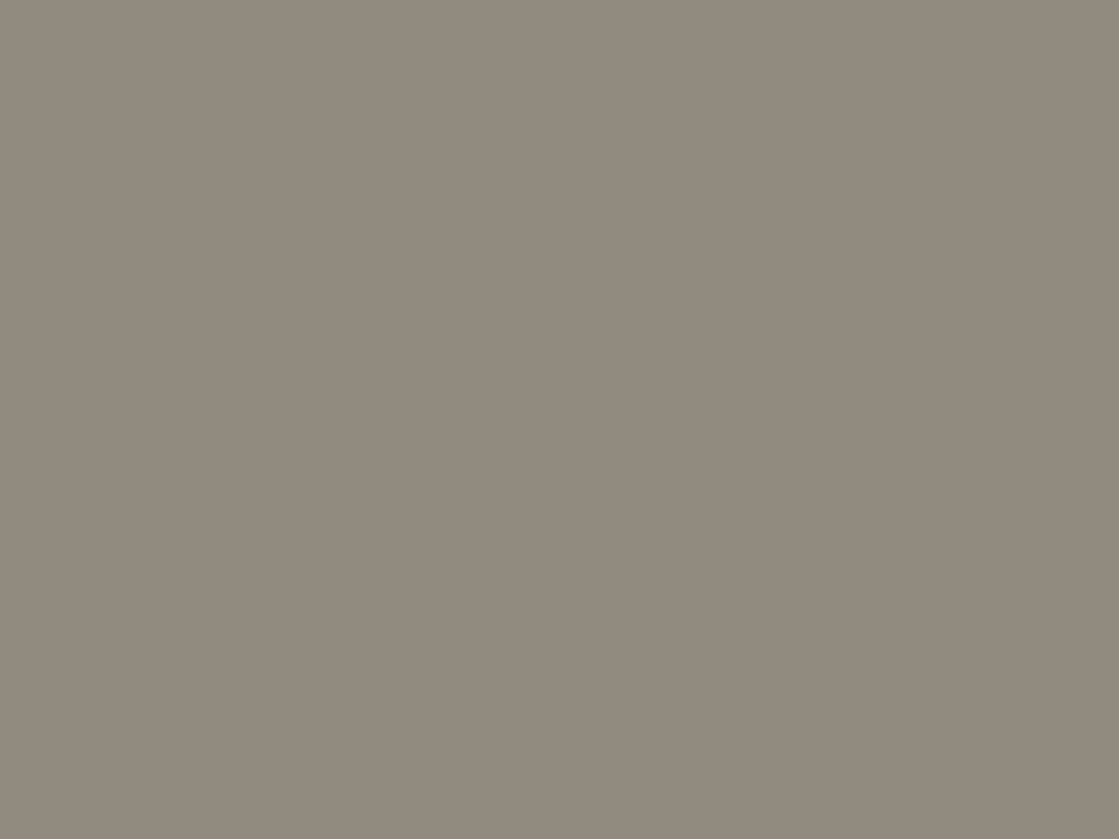 Paint & Paper Library Verf Sharkskin - 168