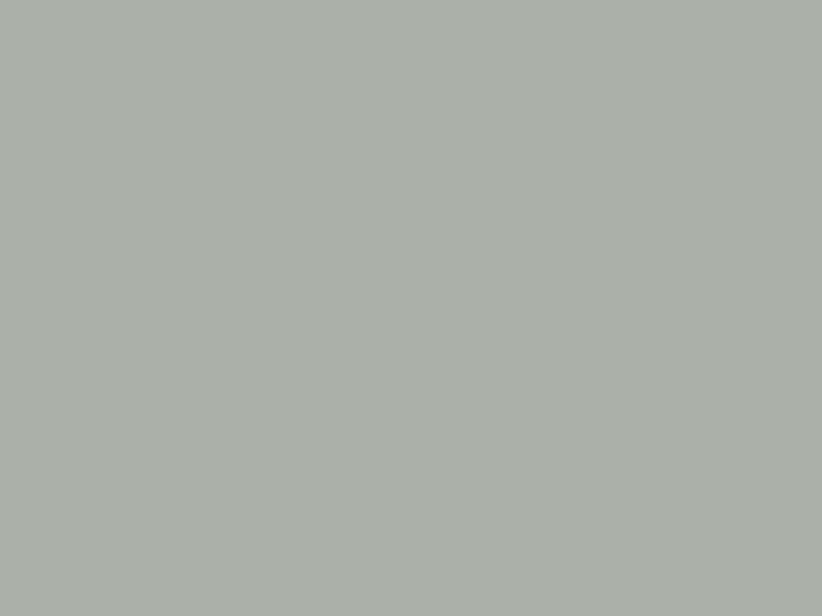 Paint & Paper Library Verf Blanket - 176