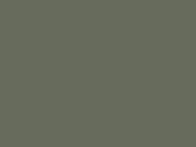 Paint & Paper Library Verf Hornblende - 186