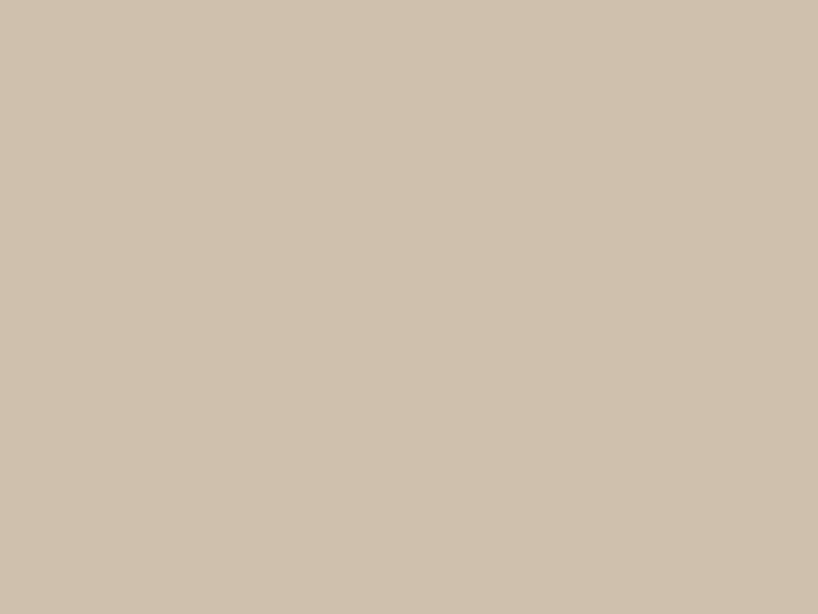 Paint & Paper Library Verf Desert Rose - 243
