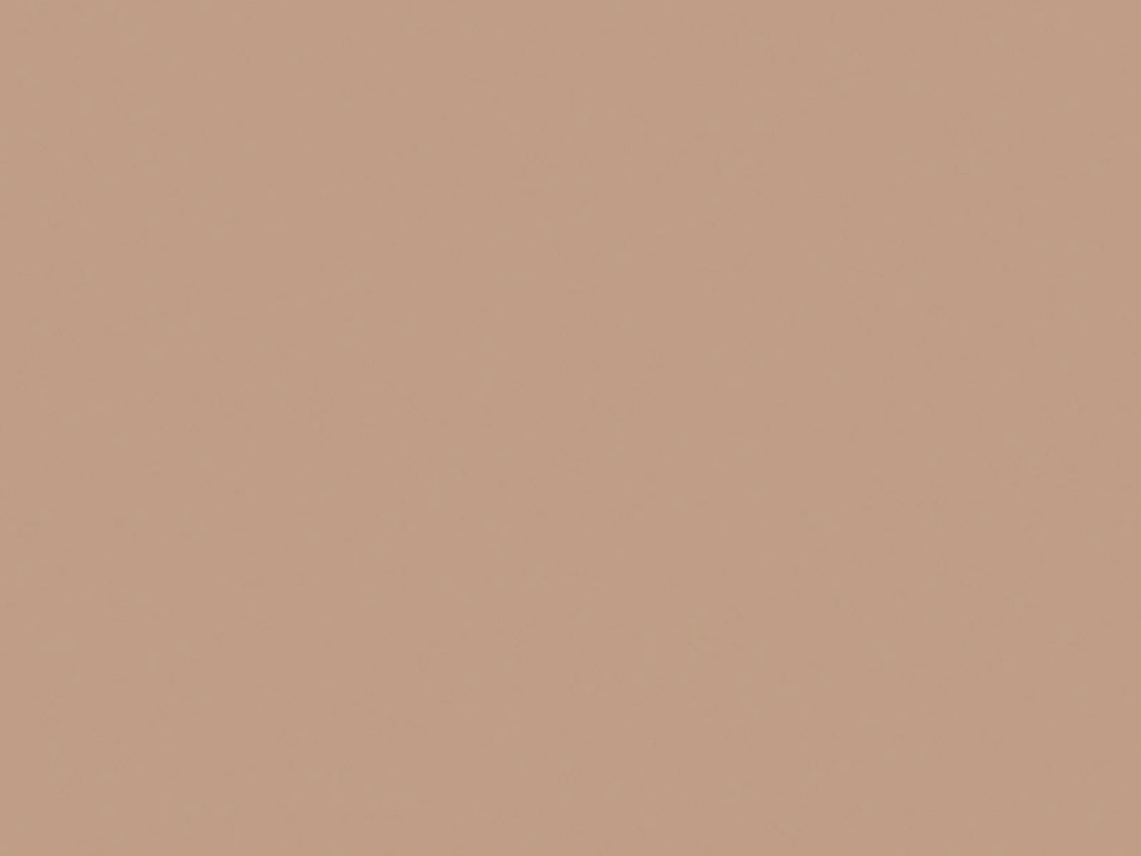 Paint & Paper Library Verf Mink - 297