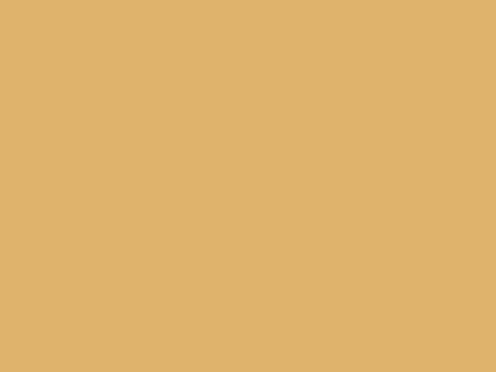 Paint & Paper Library Verf Morning Room - 447
