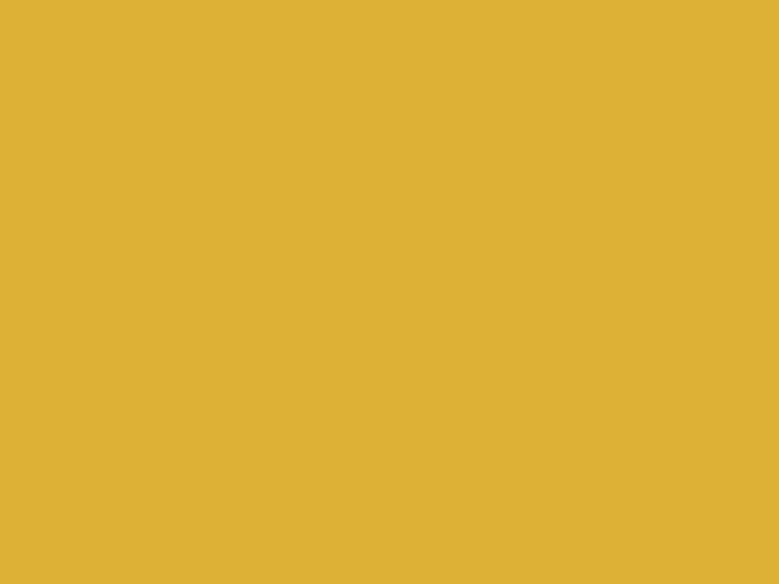 Paint & Paper Library Verf Gamboge - 484
