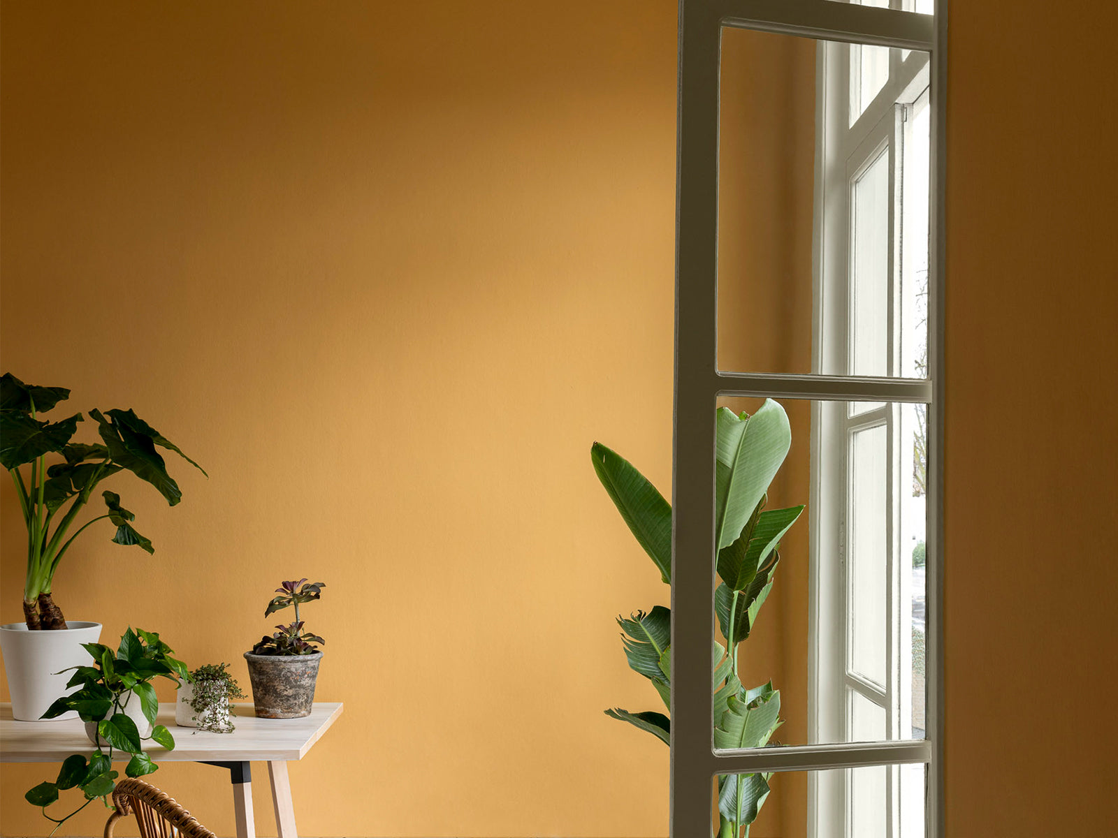 Paint & Paper Library Verf Parasol - 508
