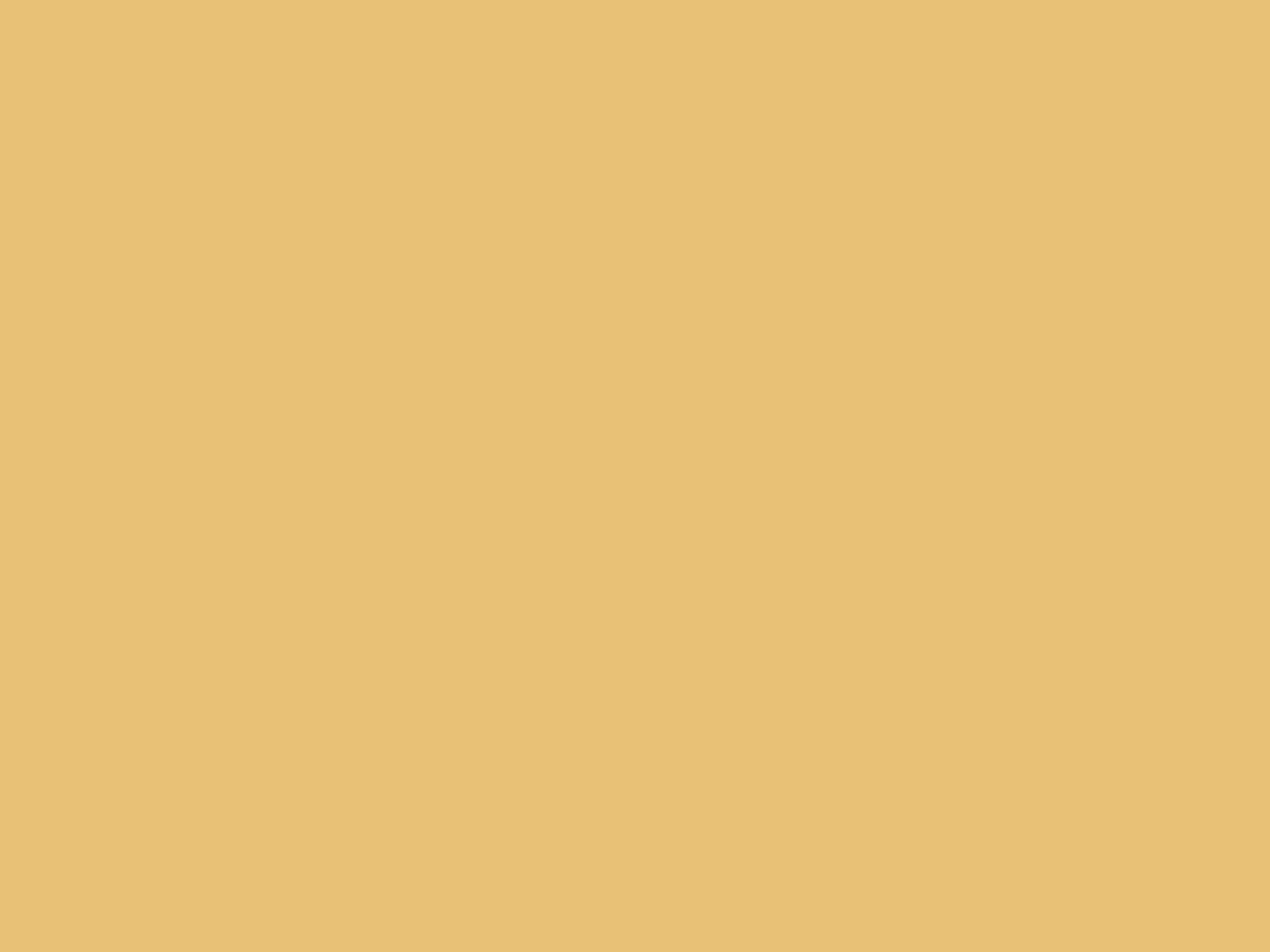 Paint & Paper Library Verf Parasol - 508