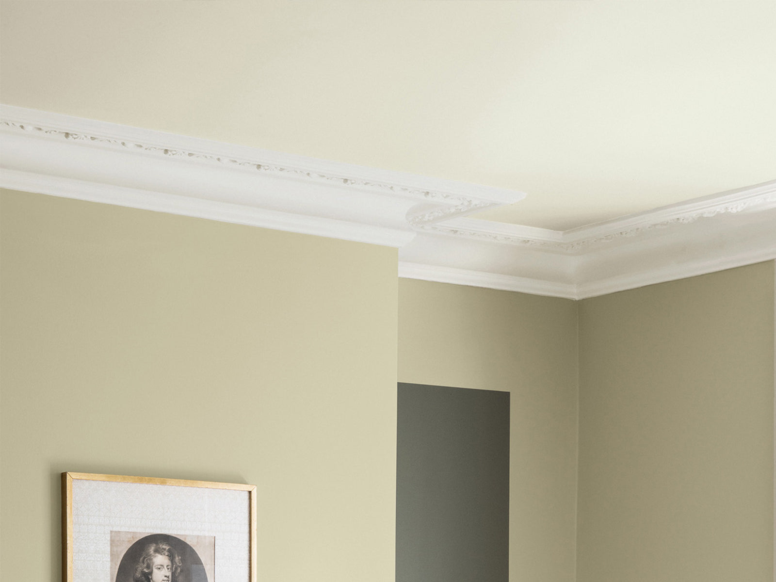 Paint & Paper Library Verf Wattle I - 561