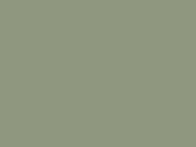 Paint & Paper Library Verf Greenback - 579
