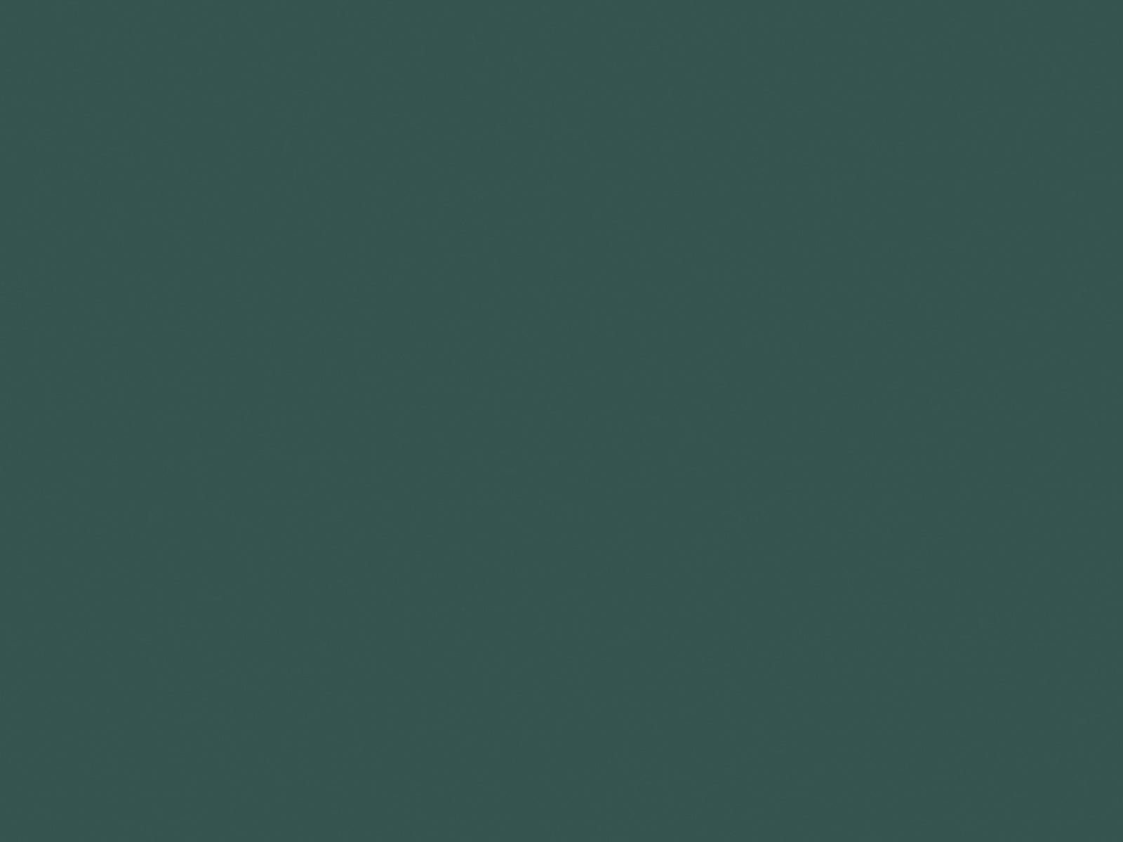Paint & Paper Library Verf Nori - 590