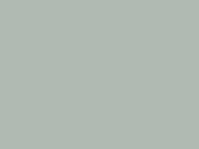 Paint & Paper Library Verf Steel V - 605