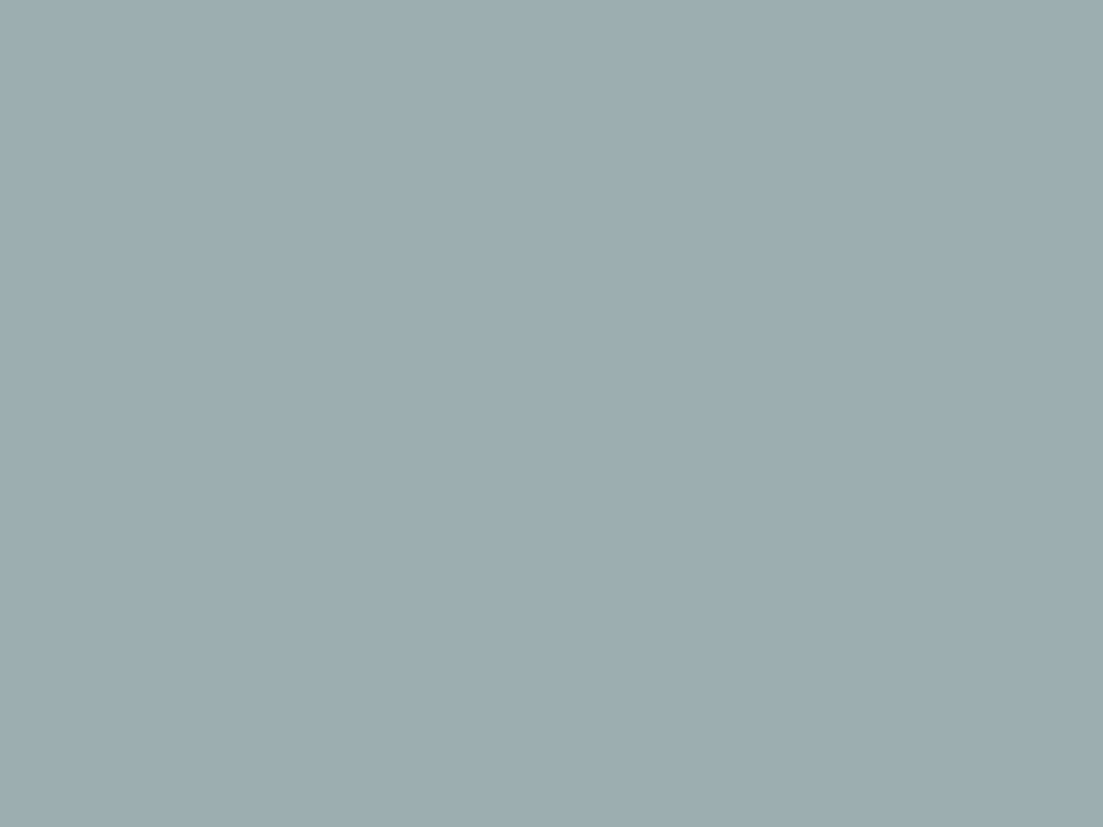 Paint & Paper Library Verf Spruce - 690