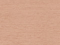 Arte Contract Tussah Silk - 68018