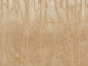 Arte Ombré Arbor - 32370