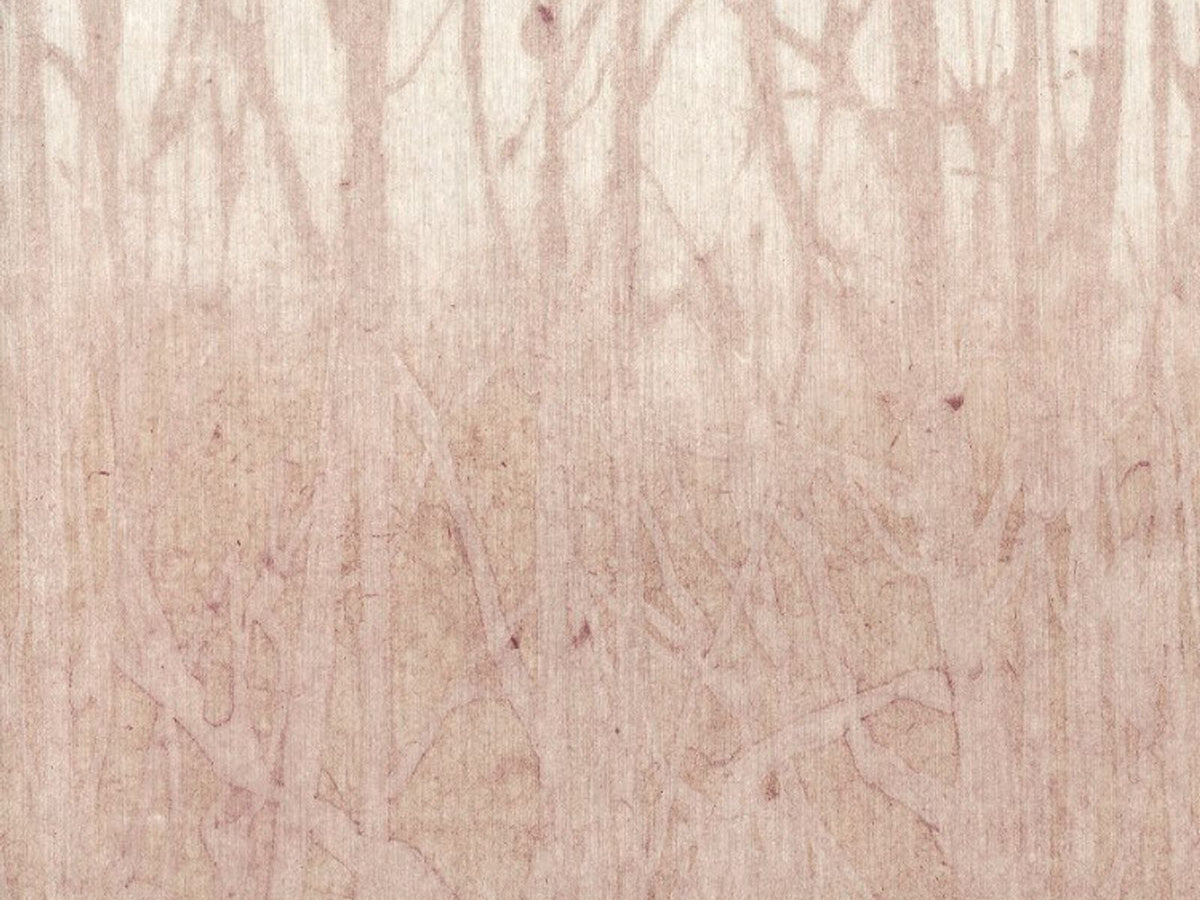 Arte Ombré Arbor 32371 Amarena behang