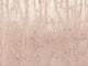 Arte Ombré Arbor - 32371