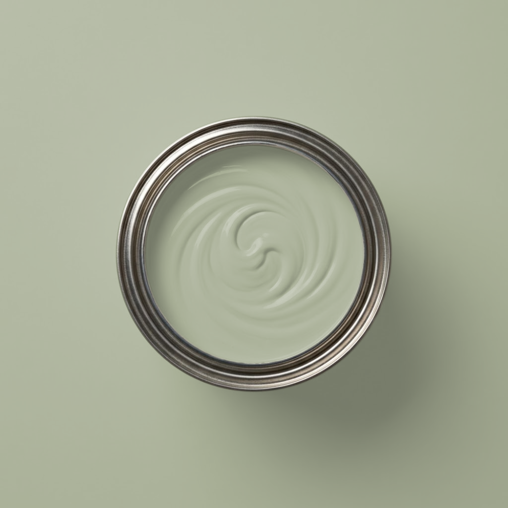 Little Greene Verf Boringdon Green - 295