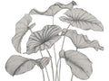 Casadeco Wonderwalls 3 Alocasia Noir Fusain