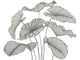 Casadeco Wonderwalls 3 Alocasia Noir Fusain