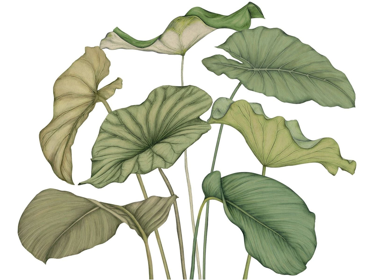 Casadeco Wonderwalls 3 Alocasia Vert Feuillage WDWT202227840NW Vert Feuillage behang