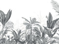 Casadeco Wonderwalls 3 Eden Tropical Noir Fusain