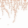 Casadeco Wonderwalls 3 Lierre Suspendu Terracotta