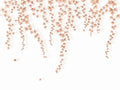 Casadeco Wonderwalls 3 Lierre Suspendu Terracotta