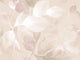 Casadeco Wonderwalls 3 Souffle Végétal Rose Nude