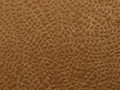 Casamance Erosion Venelle - 77750144
