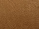 Casamance Erosion Venelle - 77750144