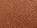 Casamance Erosion Venelle - 77750222