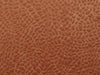 Casamance Erosion Venelle - 77750222