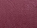 Casamance Erosion Venelle - 77750355