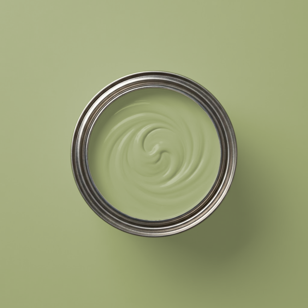 Paint & Paper Library Verf Chelsea Green II - 549