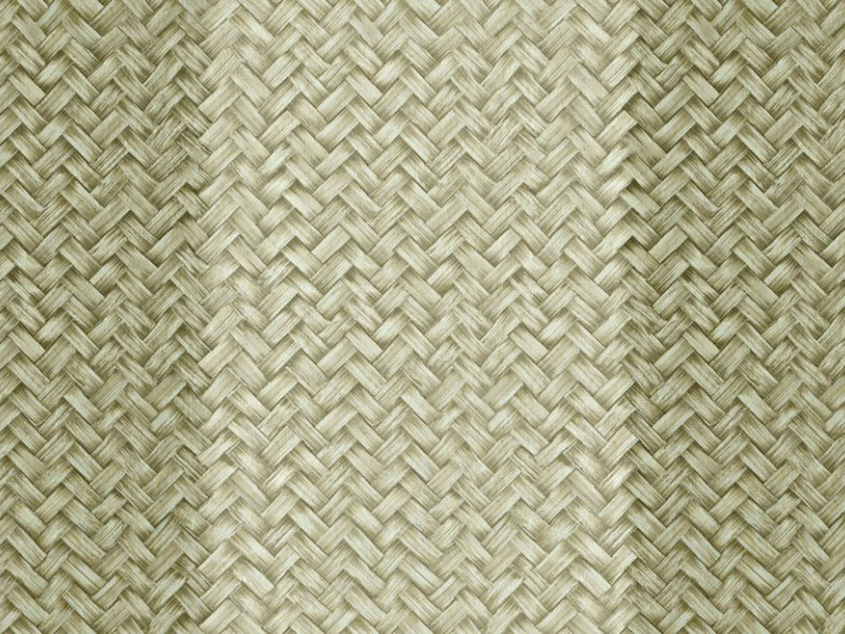 Coordonné Raffias Eco Palmeral D00273 behang